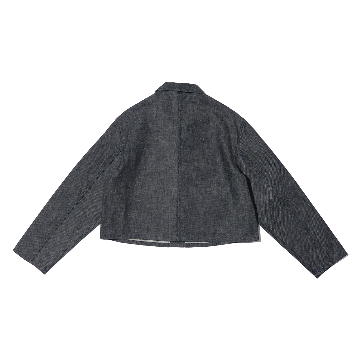 G-FRANCOのレディースデニムジャケット、CERERE（チェレーレ）Black（ブラック）の背面からの全体図