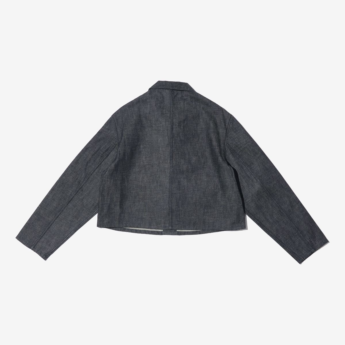 G-FRANCOのレディースデニムジャケット、CERERE（チェレーレ）Black（ブラック）の背面からの全体図